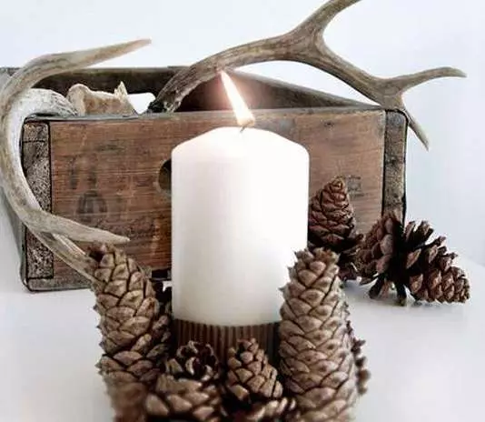 Candlestick iz stožcev: Kako narediti sami za novo leto? Glavni razredi po korakih božičnih svečnikov iz borovcev in jelk, oblikovalskih obrti 20855_47