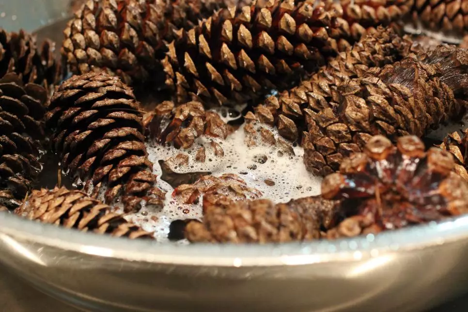 Chandelier de la cône: comment faire vous-même pour la nouvelle année? Cours de maître étape par étape de chandeliers de Noël de cônes de pins et de sapin, artisanat design 20855_5