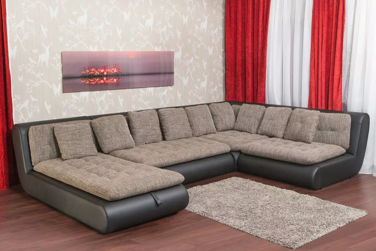 Beds sofas sofas (sary 51): Modely lehibe sy kely ho an'ny fampiasana isan'andro, miaraka amin'ny barazy ary tsy misy, habe 20880_21