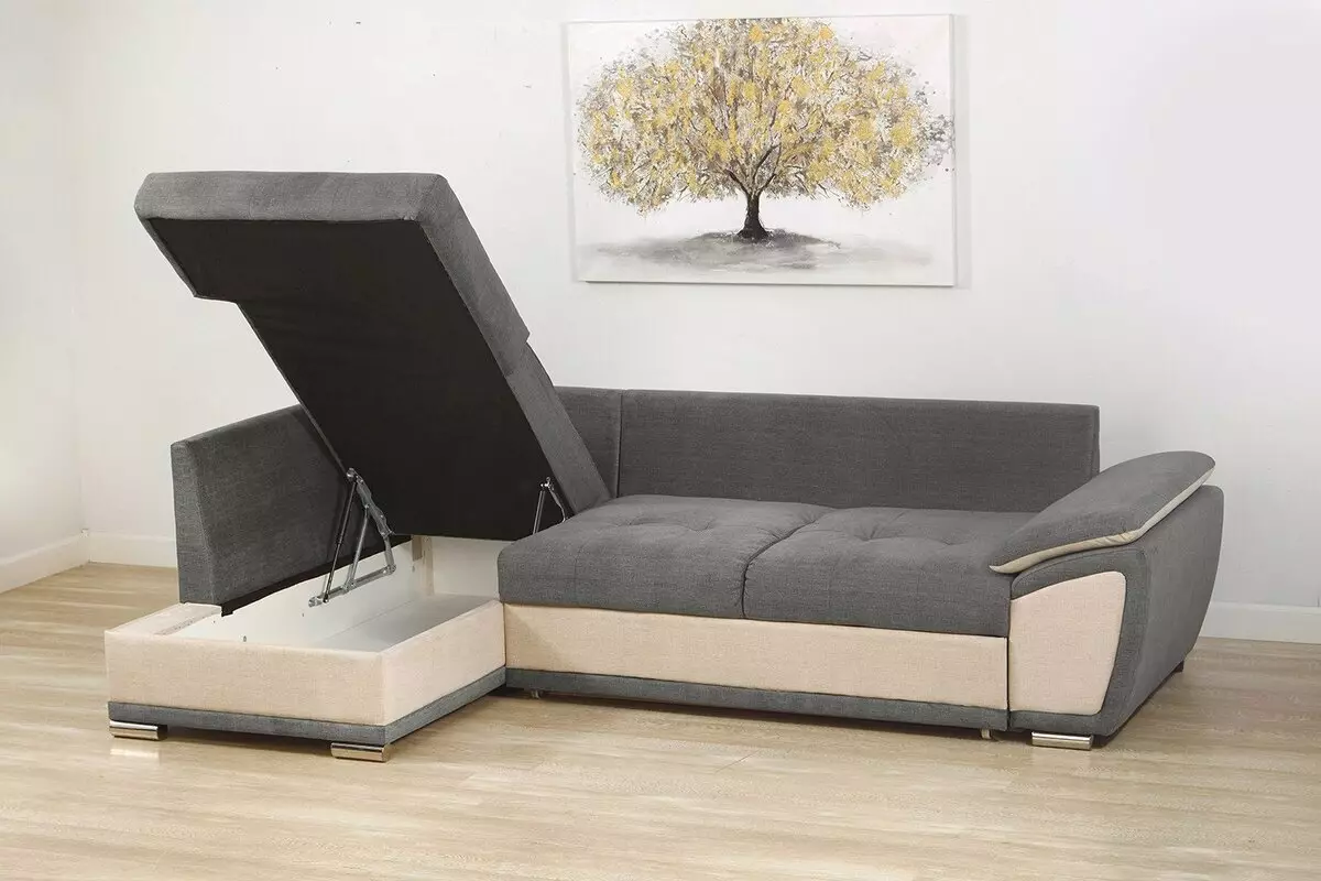 Γωνιακές ορθοπεδικές καναπέδες: Άποψη μοντέλων για καθημερινό ύπνο, με ανεξάρτητες πηγές και ορθοπεδική κρεβατοκάμαρα, με σκληρή βάση και ανατομική 20905_10