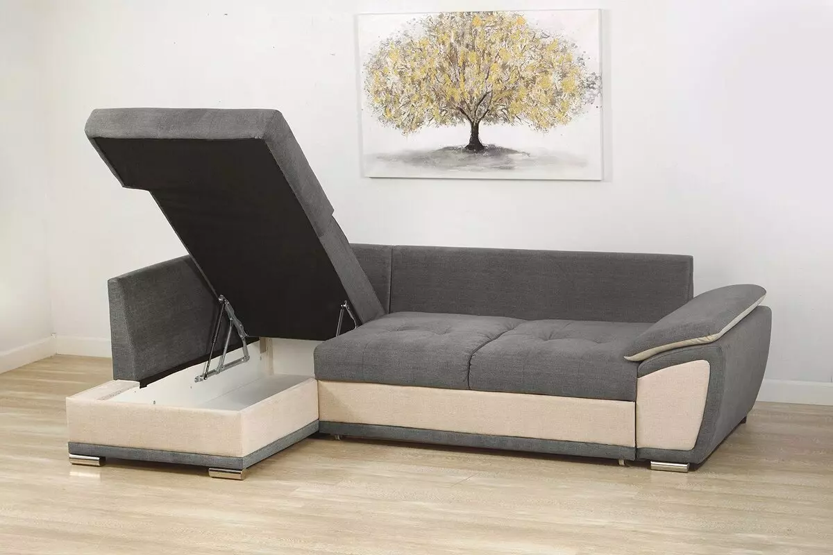 Corner Orthopedic Sofas: Sicht op modellen foar deistige sliep, mei ûnôfhinklike springen en ortopedyske sliepkeamer, mei hurde basis en anatomysk 20905_10