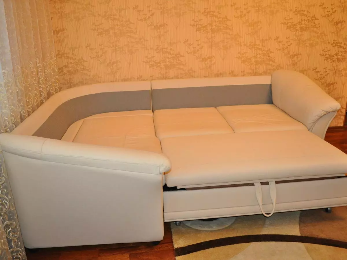 Γωνιακές ορθοπεδικές καναπέδες: Άποψη μοντέλων για καθημερινό ύπνο, με ανεξάρτητες πηγές και ορθοπεδική κρεβατοκάμαρα, με σκληρή βάση και ανατομική 20905_13