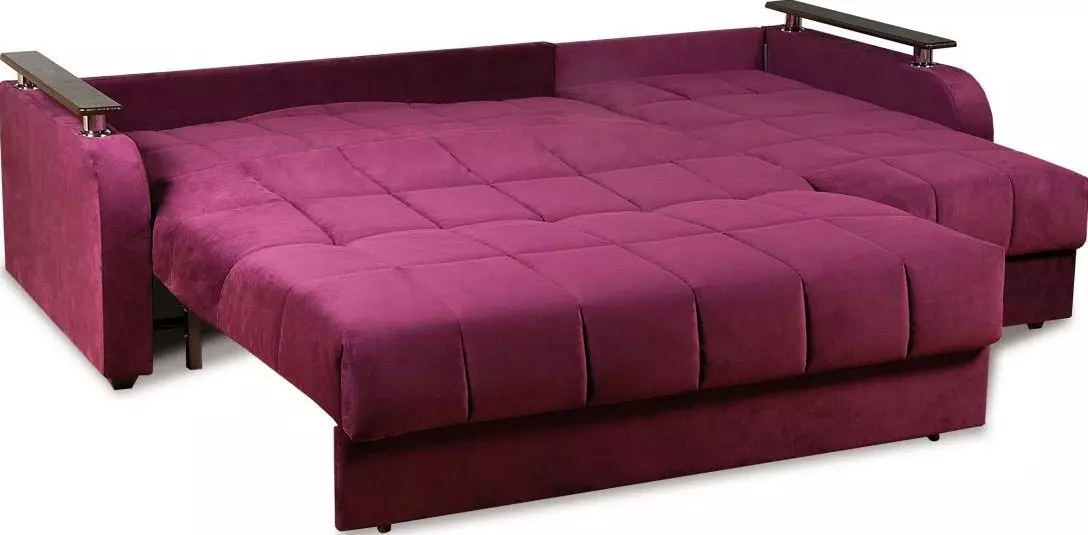 Γωνιακές ορθοπεδικές καναπέδες: Άποψη μοντέλων για καθημερινό ύπνο, με ανεξάρτητες πηγές και ορθοπεδική κρεβατοκάμαρα, με σκληρή βάση και ανατομική 20905_6