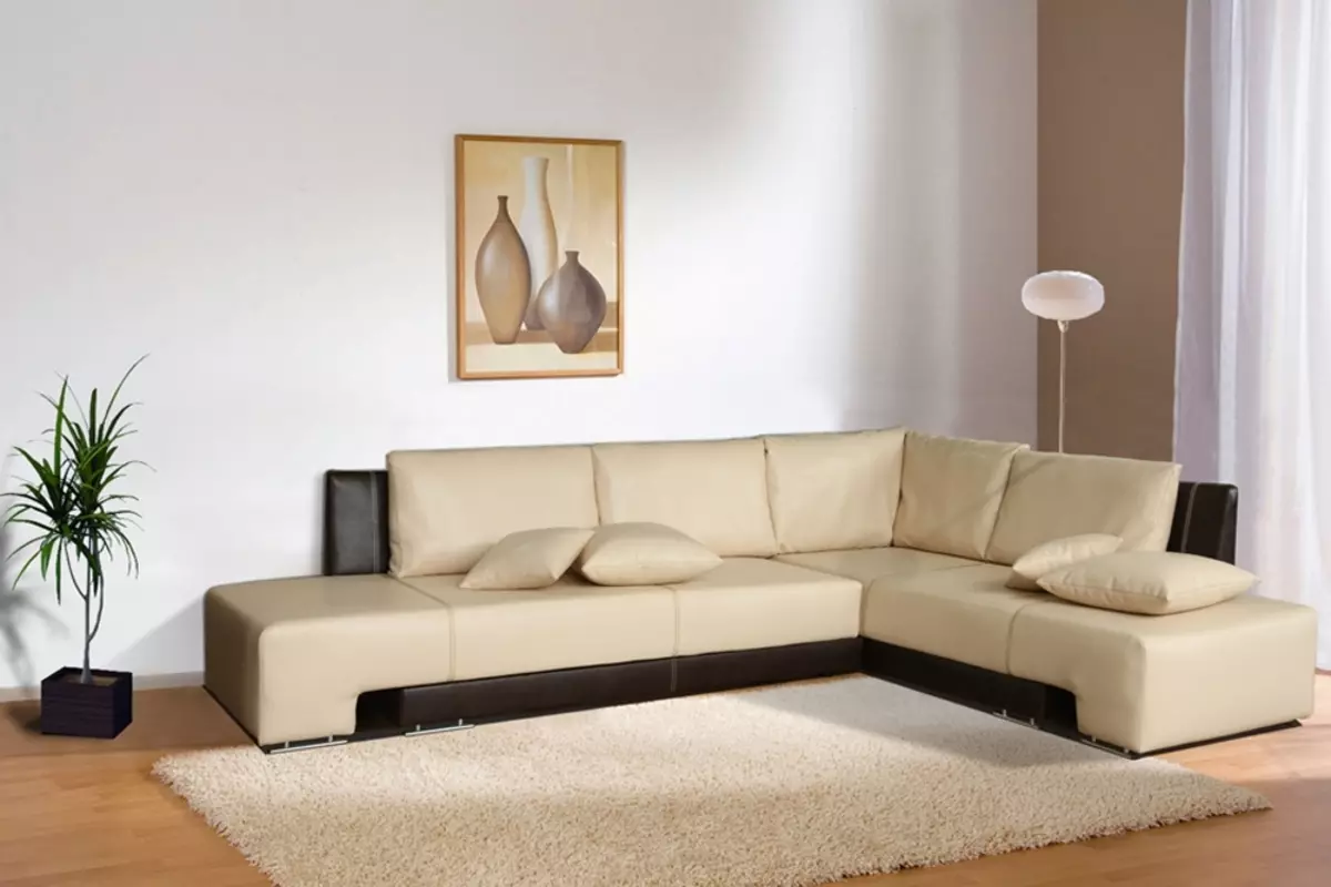 Classic Corner Sofas (28 fotografij): Izberite moderni klasični slog zofe 20907_2