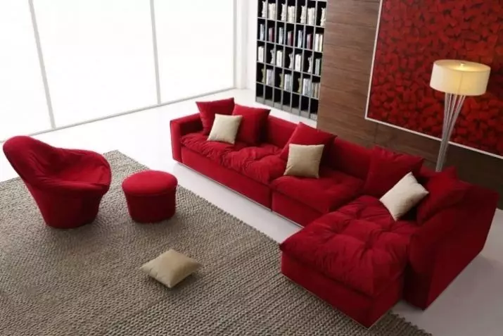 Sofas Corner Klasik (28 Foto): Pilih gaya gaya klasik modern 20907_28