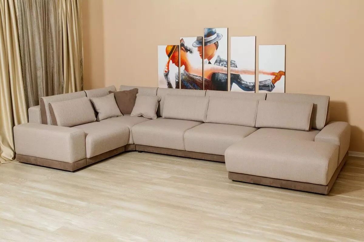 Modular Sofas Sofas (hotuna 57): babba da sauran masu girma dabam suna ninka ƙira na zamani 20913_15