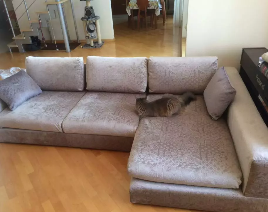 Sofa sudut kecil (75 gambar): Dimensi sofa kecil sofa kecil. Lipat padat dan sofa tidak terkawal di pedalaman 20914_45