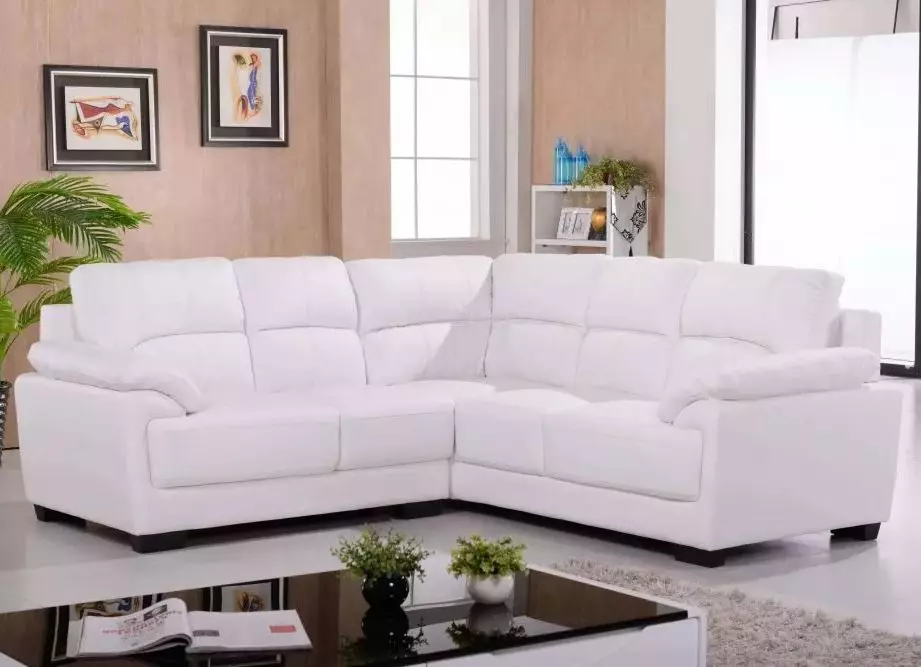 Sofas pak qoshe (75 foto): Dimensionet e sofas të vogla të vogla sofas. Sofas kompakte dhe joprofinal në brendësi 20914_71