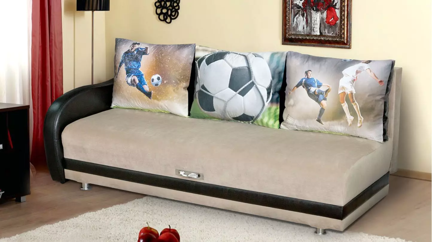 沙发床适用于青少年（57张照片）：型号的变压器，带有矫形或标准床垫，带抽屉等床铺 20920_2