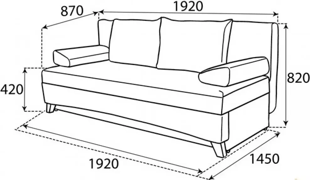 沙发床适用于青少年（57张照片）：型号的变压器，带有矫形或标准床垫，带抽屉等床铺 20920_50