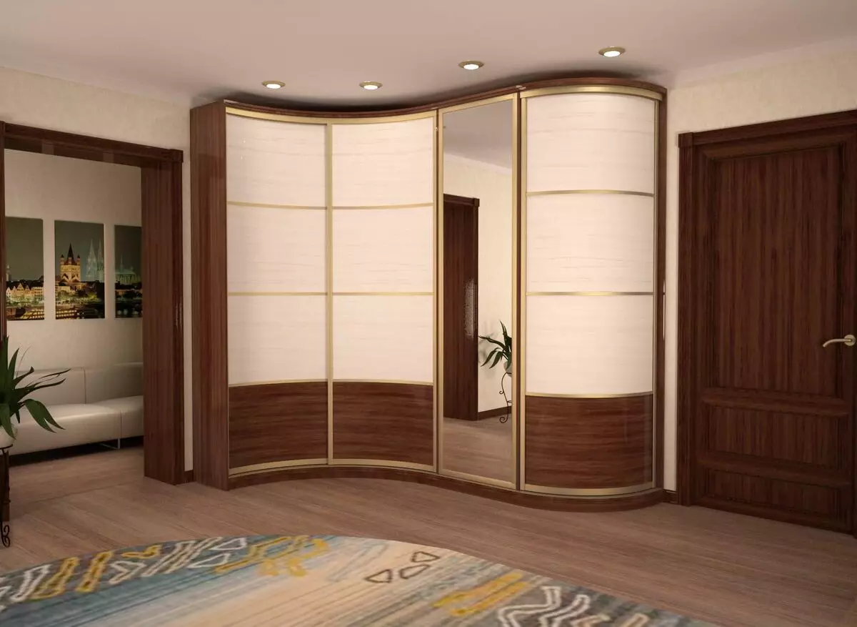 Tủ quần áo tích hợp trên hành lang (108 ảnh): Ý tưởng thiết kế của các cấu trúc nhúng, mô hình góc và swing cho một hành lang nhỏ, điền vào bên trong, tủ hẹp và tủ mua sắm 20922_106