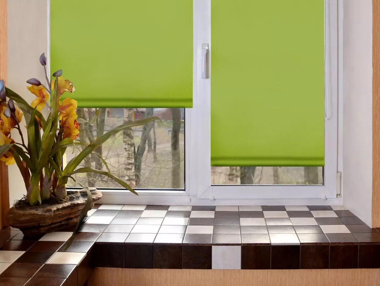 Zöld függöny a konyhában (77 fotó): bézs-saláta és pisztácia színű függöny fehér és narancssárga konyhák, belső zöld-lila tüll 20973_20