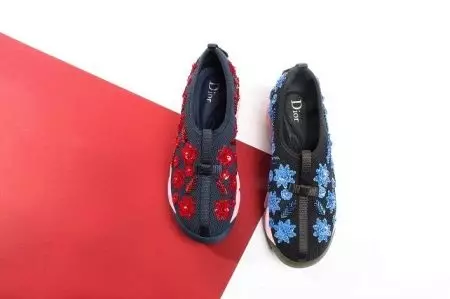 I-Dior Sneaker (izithombe ezingama-52): Amamodeli agqamile, i-Dior Friond yasekuqaleni 2097_4