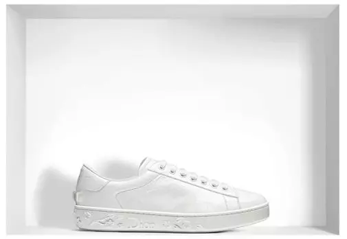 I-Dior Sneaker (izithombe ezingama-52): Amamodeli agqamile, i-Dior Friond yasekuqaleni 2097_6