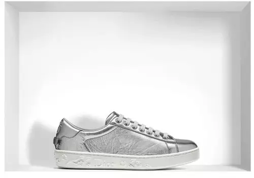 I-Dior Sneaker (izithombe ezingama-52): Amamodeli agqamile, i-Dior Friond yasekuqaleni 2097_7