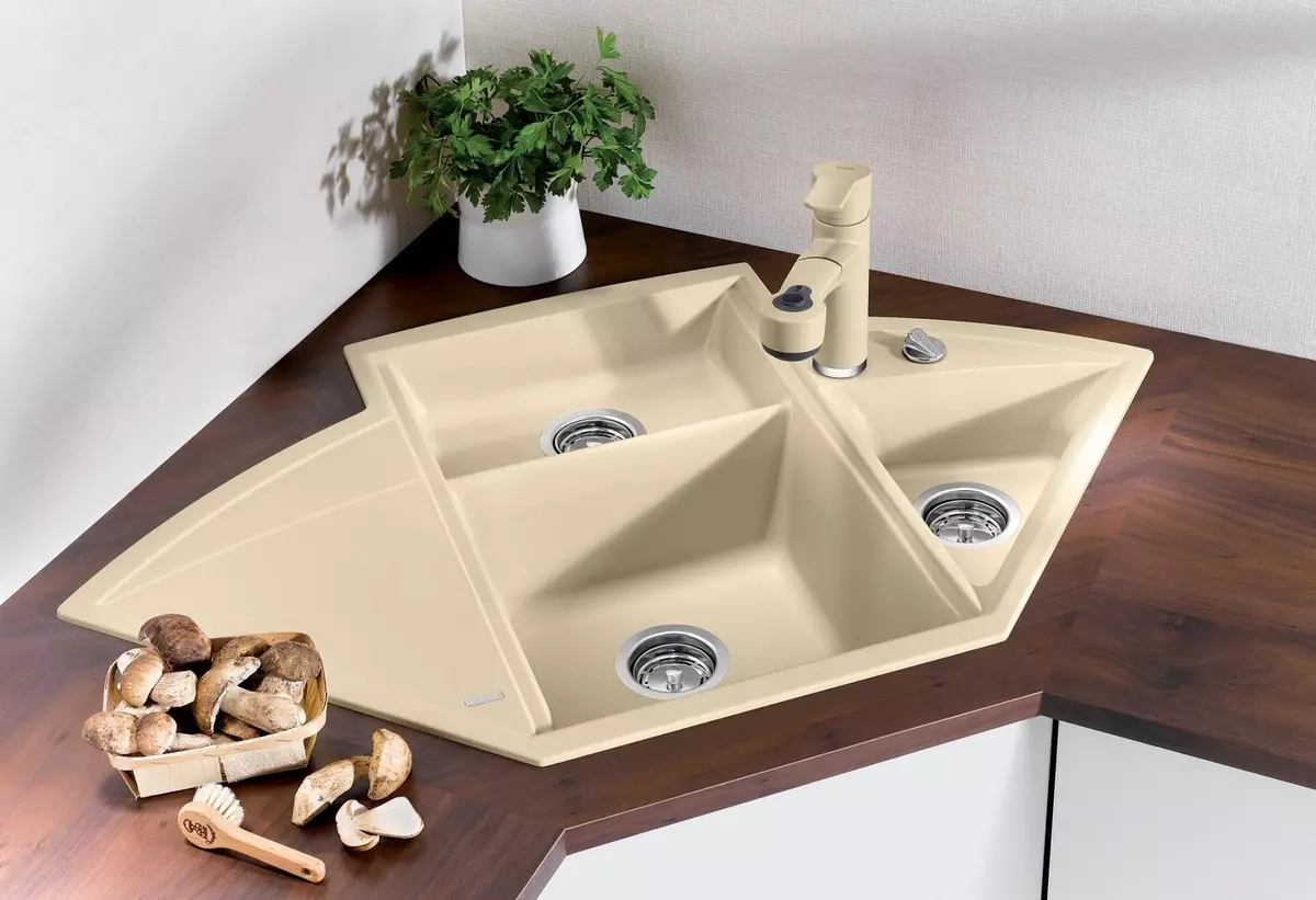 Sinks for the dapur (97 foto): jenis wastafel dapur, besar dan dalam, model dari tembaga dan di bawah perunggu, mencuci desain yang tidak biasa 21024_32