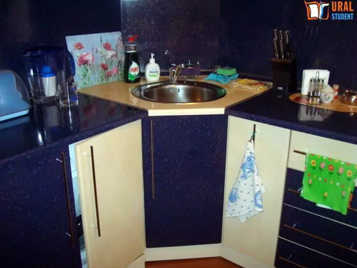 Hjørneskab under køkkenvasken (37 billeder): Størrelse af gulvhjørne køkkenskabe, valg af et vinkelmodul under vasken 21029_28