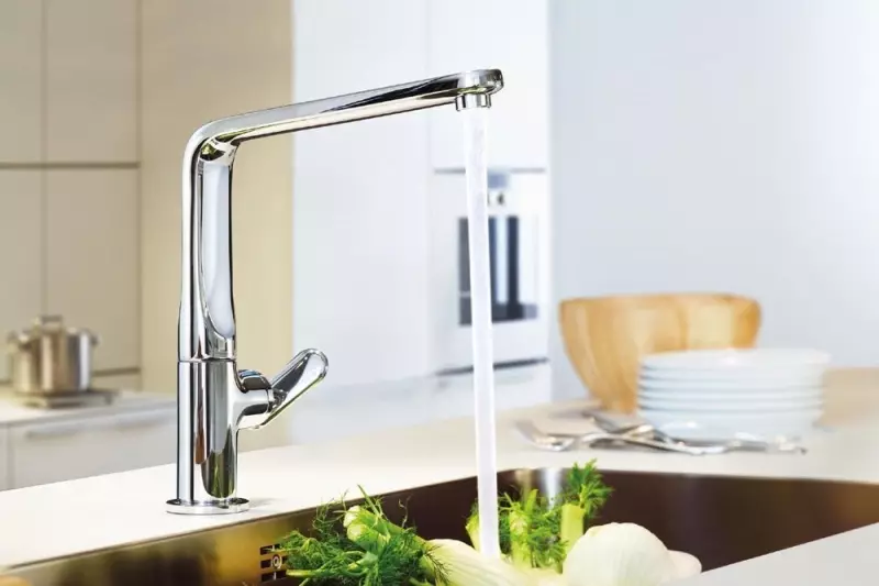 The best kitchen faucets (42 photos): how to choose? Quality manufacturers rating. Cranes of Russian and Italian production, other models 21030_25