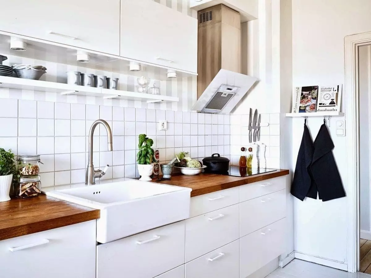Autolavaggio da cucina bianca (21 foto): Panoramica dei lavelli della cucina di pietra artificiale e smalto, ghisa e modelli in pietra di bianco 21033_19
