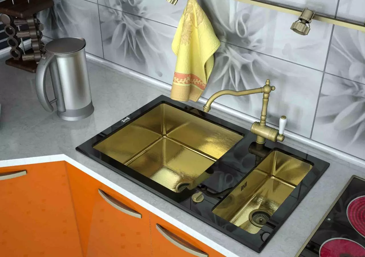 Zorg Zorg кујна мијалници (23 фотографии): Преглед на нерѓосувачки челик нерѓосувачки челик школки и други материјали 21037_17