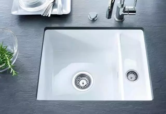 German sinks for the kitchen (19 photos): Overview of kitchen sinks from artificial stone, stainless steel and other models from Germany 21048_16