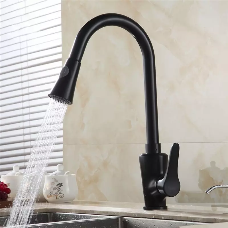 Black faucets for kitchen (23 photos): Overview of kitchen cranes of black granite, pluses and cons ceramic black models with a sliding watering can 21054_14