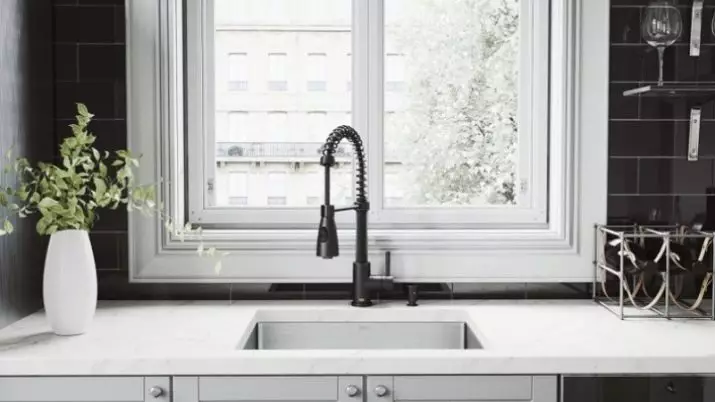 Faucets e zezë për kuzhinë (23 foto): Përmbledhje e vinçave të kuzhinës së granitit të zi, pluses dhe kundër modeleve të zeza qeramike me një lotim rrëshqitës 21054_21