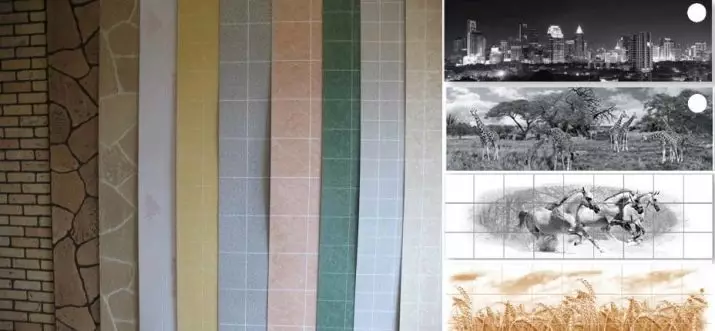 طراحی دیوار در آشپزخانه (93 عکس): دکوراسیون دیوارها توسط نقاشی های هنری و نقاشی ها، گزینه های دیوارهای لهجه و ایده های مدرن از دیوارهای سبک 21109_18