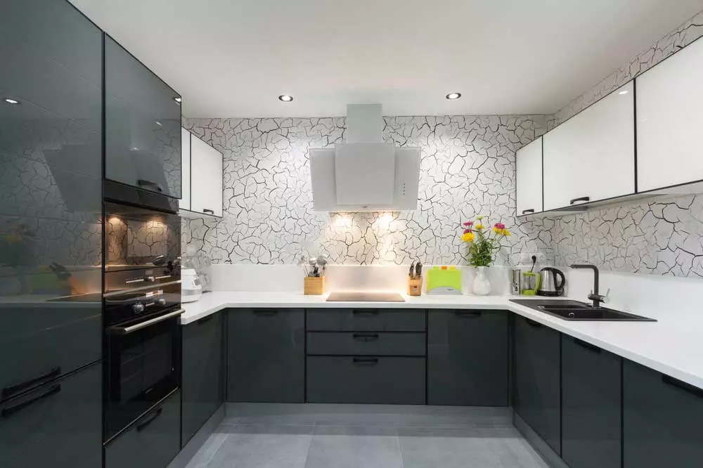 Sort og hvidt køkken (105 billeder): sort / hvid køkken beliggende i indretning, køkken med sorte apparater, sort / hvid køkken i forskellige stilarter. Hvilke toner passer? 21148_20