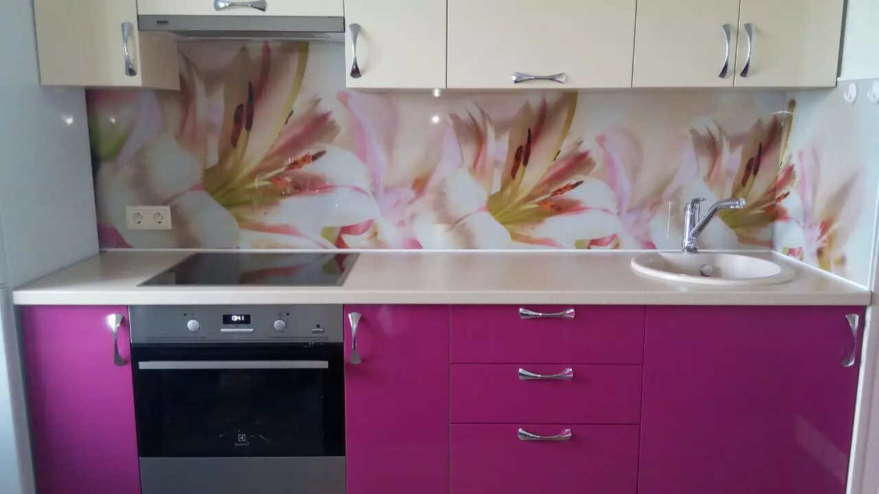 Kuzhina plastike Kuzhina (73 foto): Kuzhina kalorës nga plastike ABS, panele dekorative mur me printim photo, kalata transparente dhe opsione të tjera 21184_25
