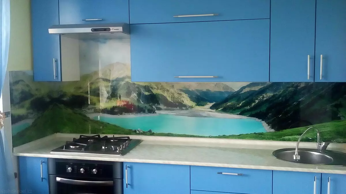 Kuzhina plastike Kuzhina (73 foto): Kuzhina kalorës nga plastike ABS, panele dekorative mur me printim photo, kalata transparente dhe opsione të tjera 21184_26