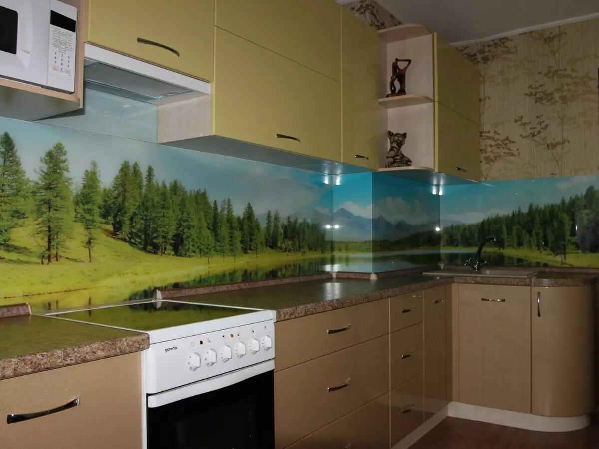 Kuzhina plastike Kuzhina (73 foto): Kuzhina kalorës nga plastike ABS, panele dekorative mur me printim photo, kalata transparente dhe opsione të tjera 21184_46
