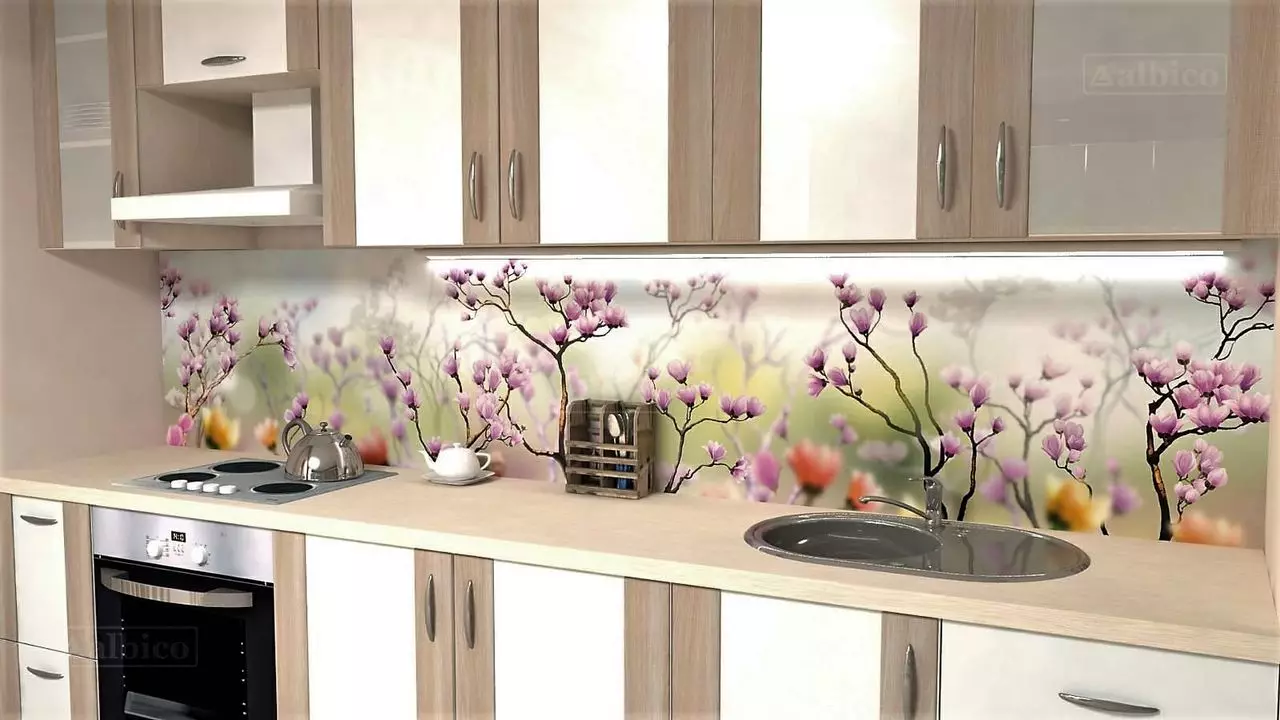 Dapur celemek Albico (36 foto): Pilih panel untuk dapur dari MDF dan plastik, desain celemek siap pakai untuk dinding dari 