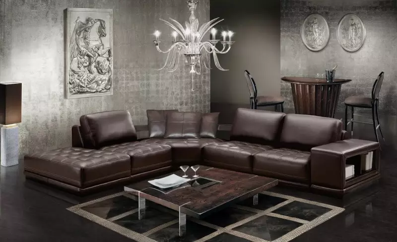 Divani in pelle nel soggiorno (28 foto): interior design con grande elite marrone e altri divani in pelle a colori 21230_11