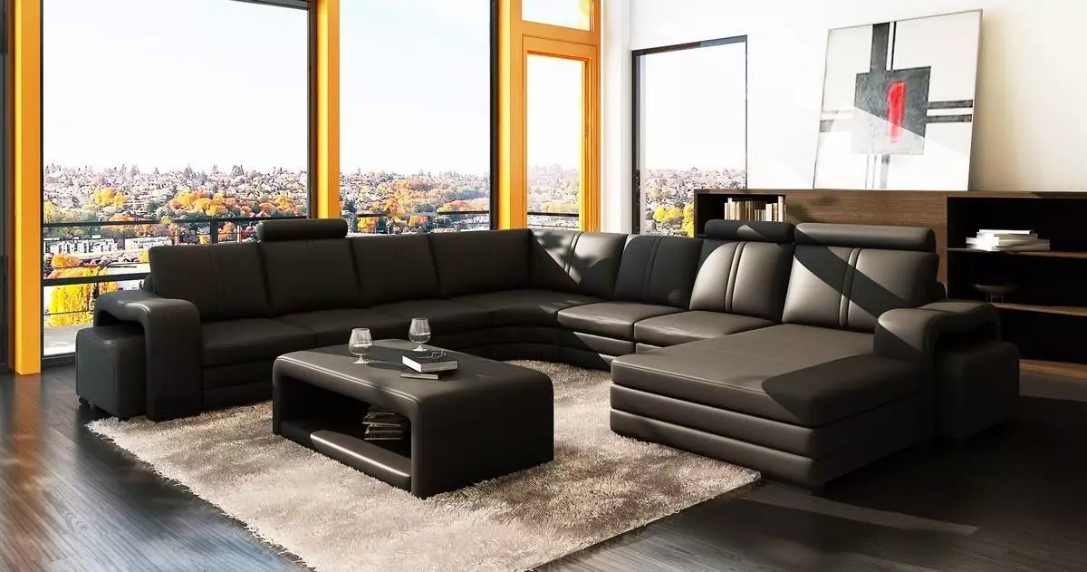 Leather Sofas sa living room (28 mga larawan): Interior design na may malaking elite brown at iba pang mga kulay na katad na supa 21230_12