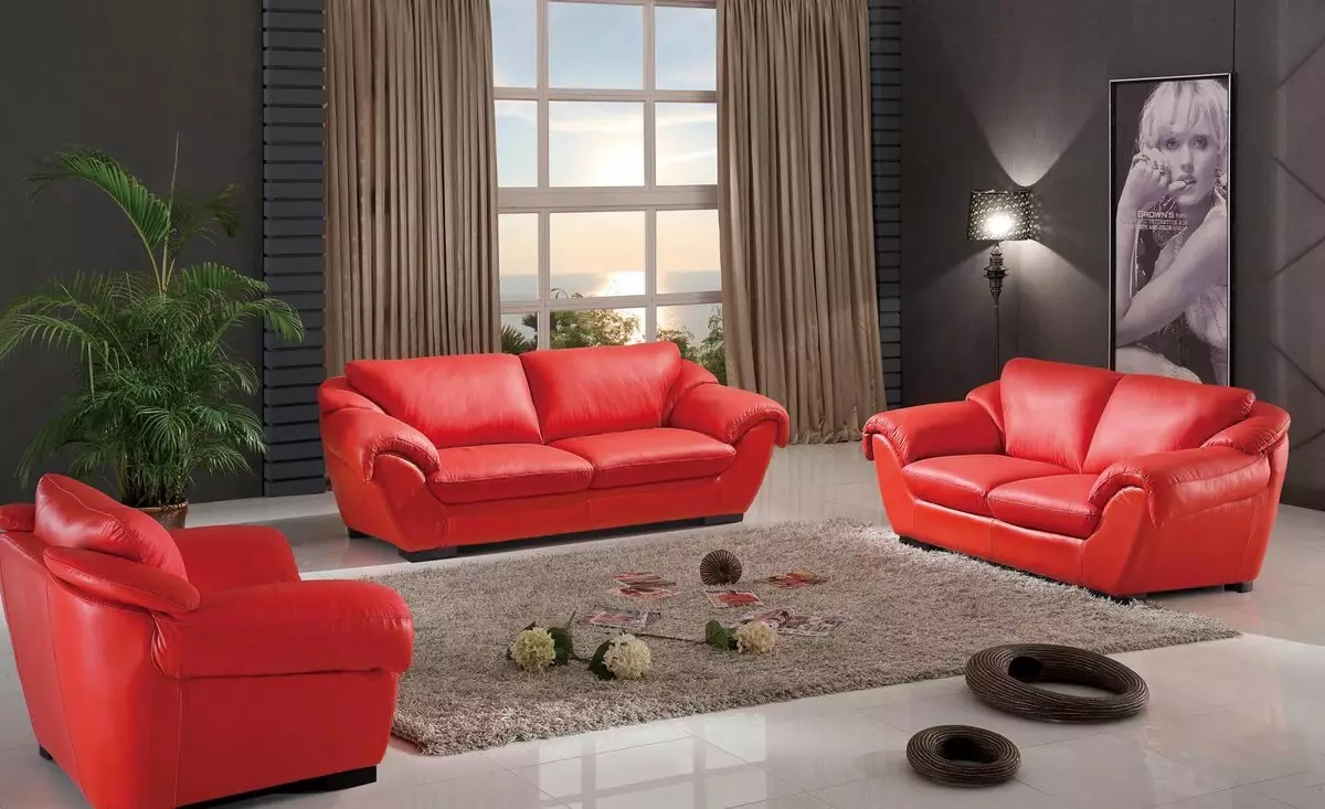 Leather Sofas sa living room (28 mga larawan): Interior design na may malaking elite brown at iba pang mga kulay na katad na supa 21230_19