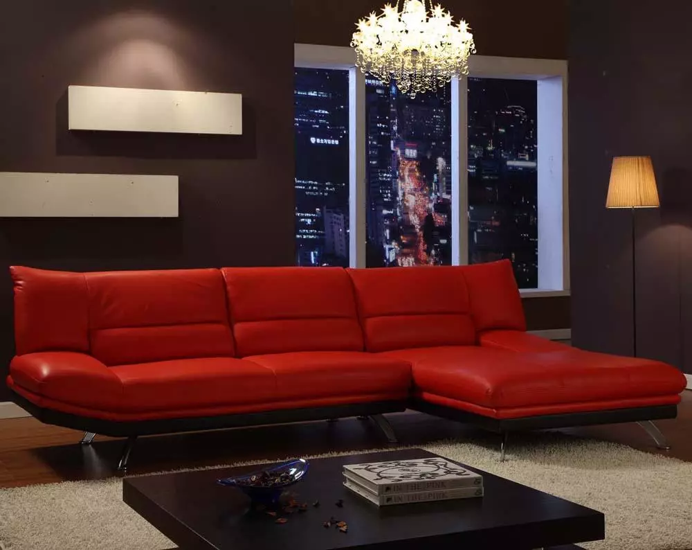 Leather Sofas sa living room (28 mga larawan): Interior design na may malaking elite brown at iba pang mga kulay na katad na supa 21230_20