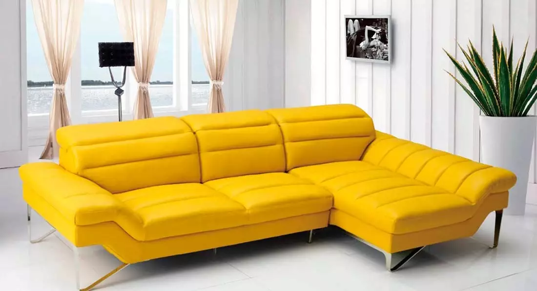 Leather Sofas sa living room (28 mga larawan): Interior design na may malaking elite brown at iba pang mga kulay na katad na supa 21230_24