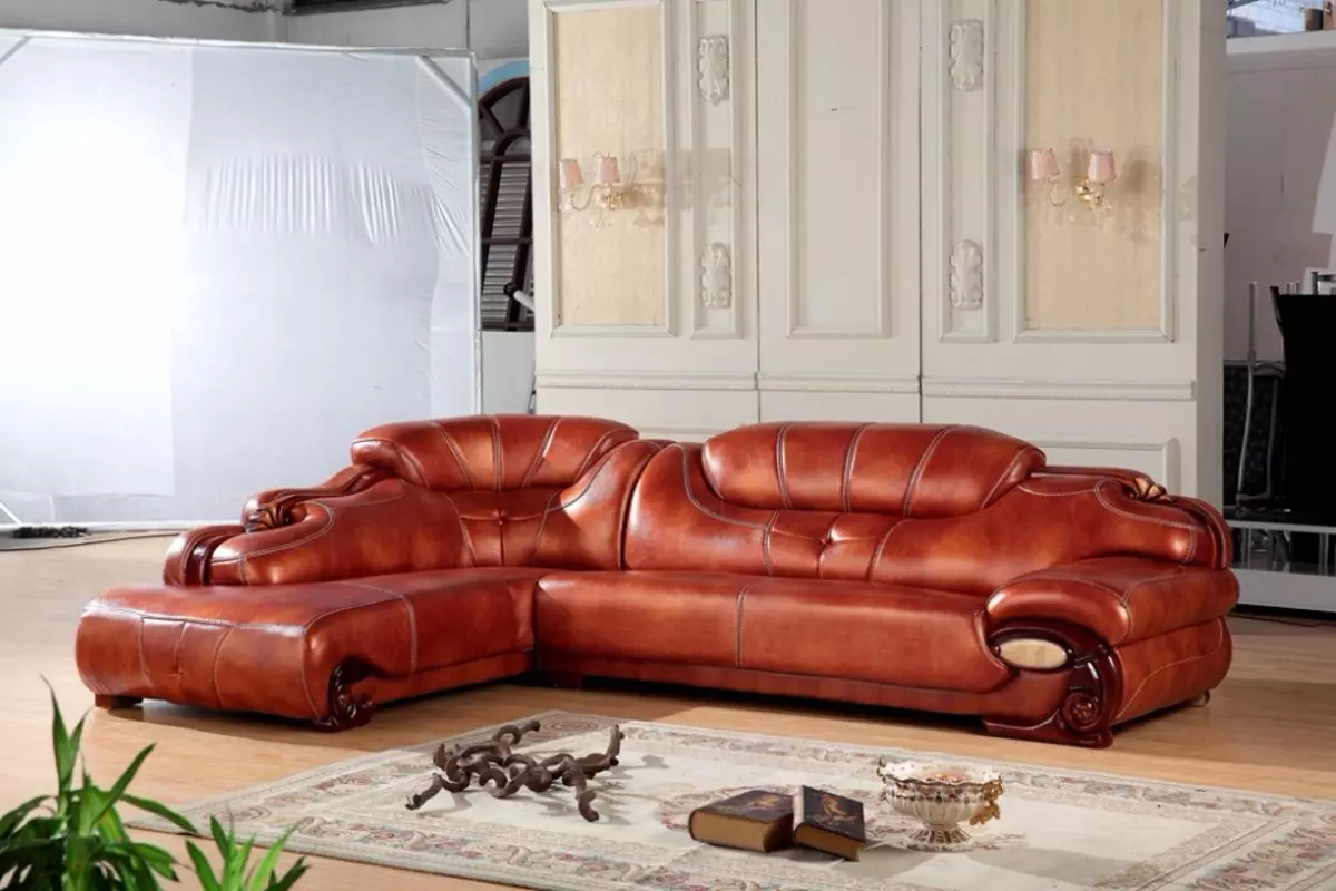 Canapés en cuir dans le salon (28 photos): design d'intérieur avec grandes canapés en cuir de couleur d'élite et autres canapés en cuir de couleur 21230_28