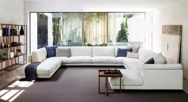 Großes Sofa im Wohnzimmer (42 Fotos): Wählen Sie große geraden Linien und P-förmigen Klappsofas 3, 4 Meter 21234_9