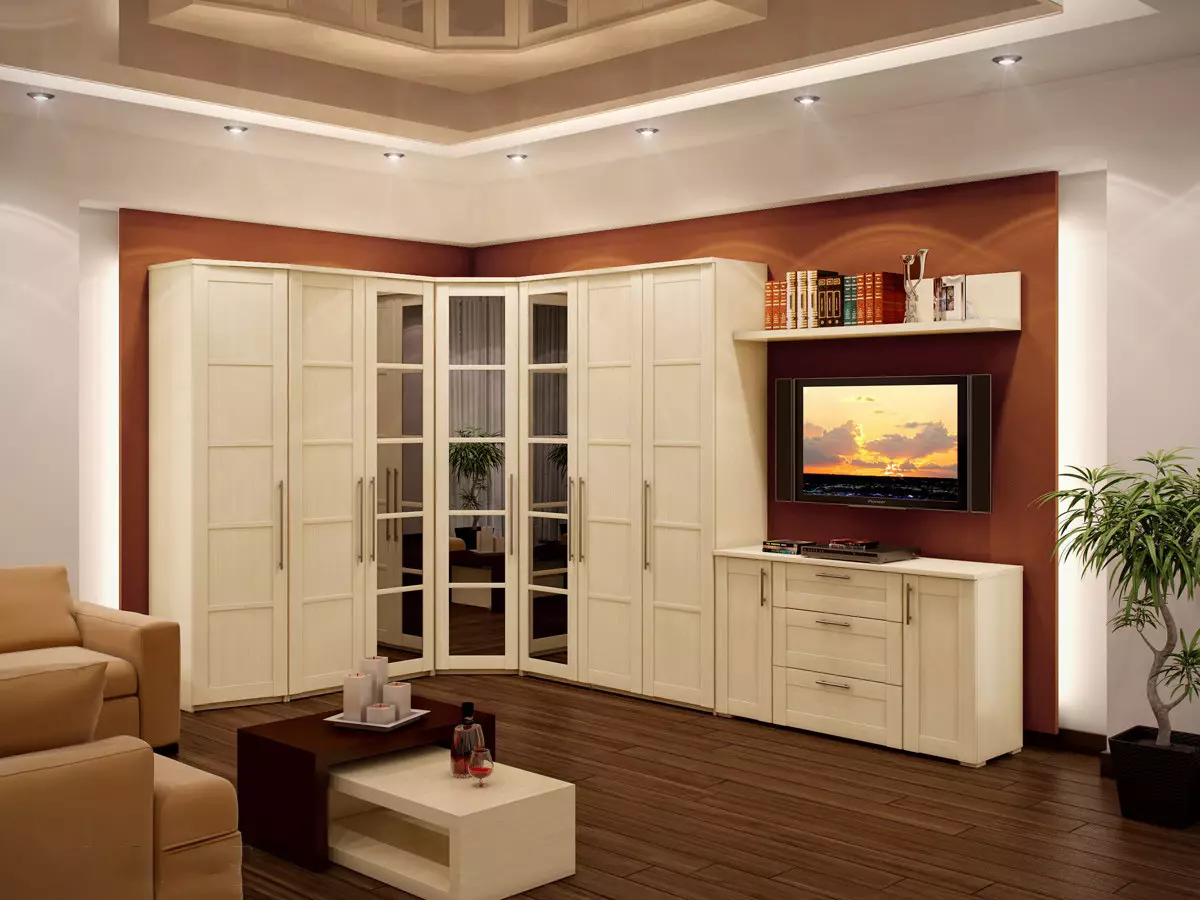 Gabinetes en la sala de estar (69 fotos): armario en toda la pared en el vestíbulo y columpio armarios empotrados, radius Modern Gabinete y otros modelos 21248_17