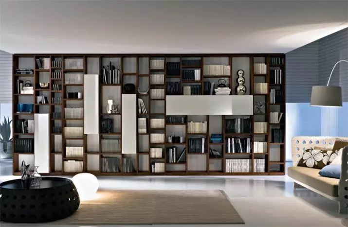 客厅里的橱柜（69张照片）：整个墙壁上的衣柜在大厅和摆动内置衣柜，半径现代橱柜和其他型号 21248_32
