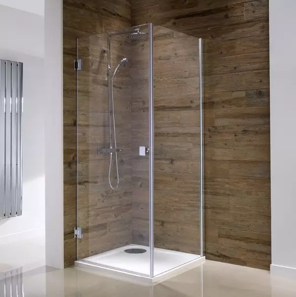 Particións de vidro para a ducha (60 fotos): tipos de valos de ducha de vidro, de bloques de vidro e 90x90 cm, elección de accesorios. Deseño de baño 21370_38