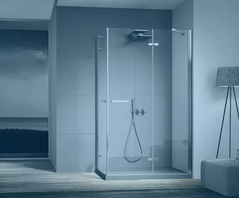 Particións de vidro para a ducha (60 fotos): tipos de valos de ducha de vidro, de bloques de vidro e 90x90 cm, elección de accesorios. Deseño de baño 21370_5