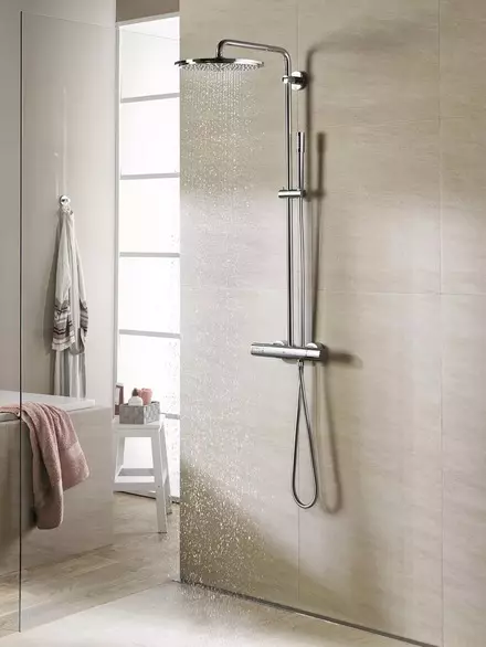 Rafturi de duș: soiuri de sisteme de duș pentru baie. Ceea ce este inclus în setul cu cască set pentru suflet? BRAVAT, LEMARK BRANDS Review și altele 21374_15