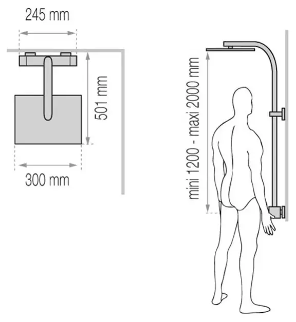 Rafturi de duș: soiuri de sisteme de duș pentru baie. Ceea ce este inclus în setul cu cască set pentru suflet? BRAVAT, LEMARK BRANDS Review și altele 21374_30