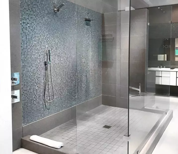 Tuš u kupaonici bez kabine (86 fotografija): Kupaonica dizajn Mogućnosti s tušem bez palete i pločica kabine, projekti 21384_83