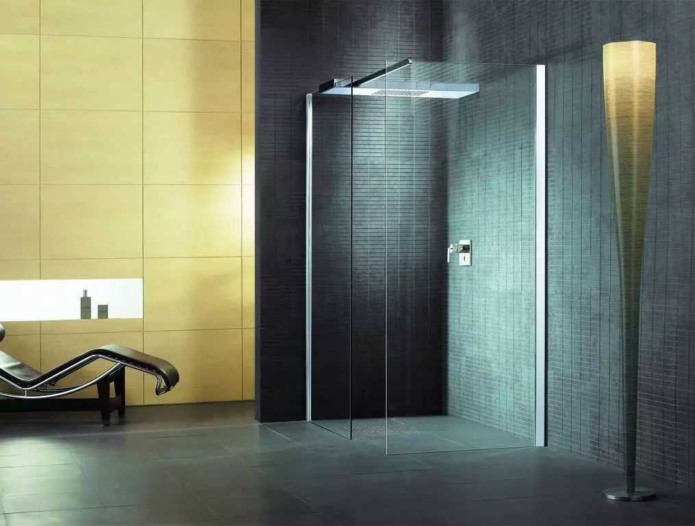 Sprchové panely (40 photos): Vlastnosti úhlových regálů s hydromasážní a koupelnové míchačky, recenze modelů Hansgrohe a špičkové sprchové panely 21389_18