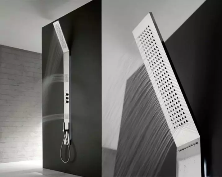 Duş Panelleri (40 Fotoğraf): Hidromasaj ve Banyo Mikseri ile Açısal Rafların Özellikleri, Hansgrohe Modelleri ve Üst Duş Panelleri 21389_8