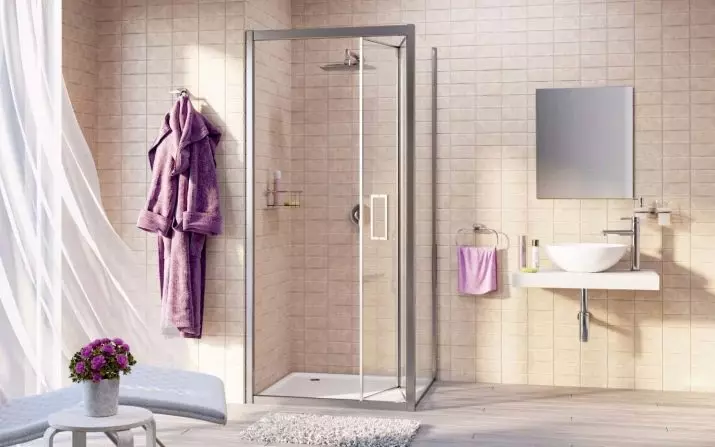 WasserKraft shower corners: model mei pallet en oare douche hoeken. Funksjes en tips op te kiezen 21392_2